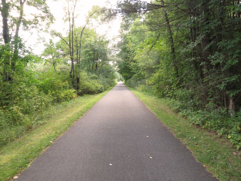 Residential Asphalt Pathway